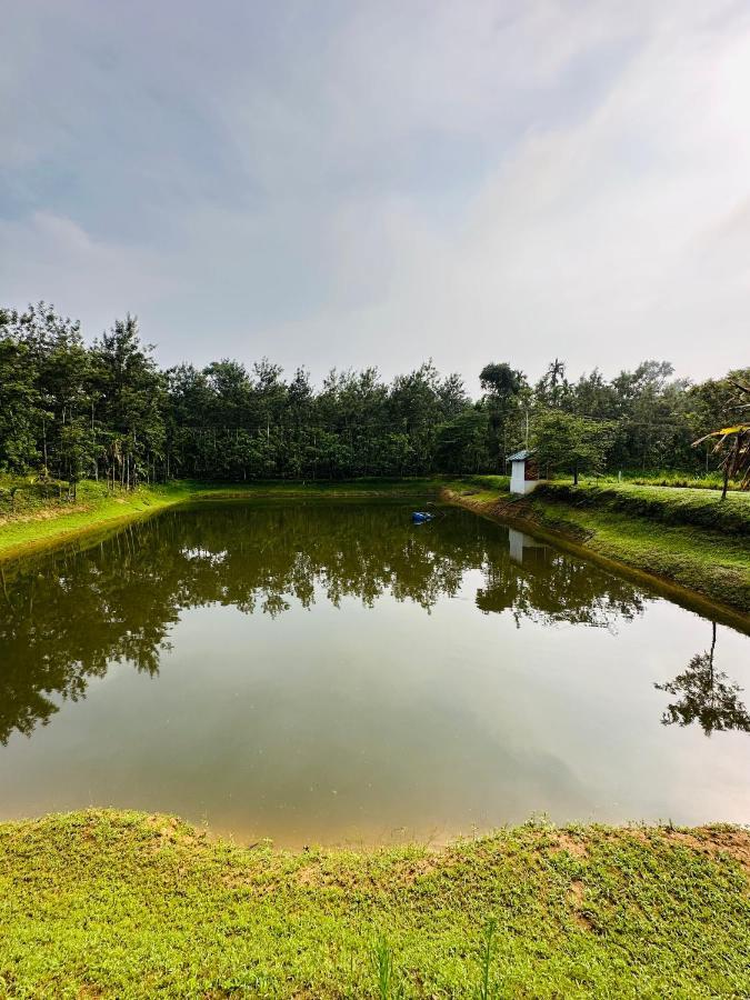 Green Castle Gonikoppal Екстериор снимка